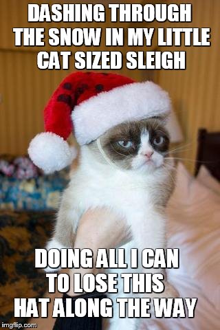 Dashing Through The Snow | DASHING THROUGH THE SNOW IN MY LITTLE CAT SIZED SLEIGH DOING ALL I CAN   TO LOSE THIS     HAT ALONG THE WAY | image tagged in memes,grumpy cat christmas,grumpy cat | made w/ Imgflip meme maker
