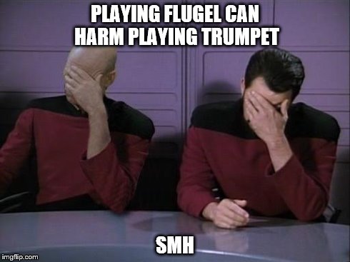 Double Facepalm | PLAYING FLUGEL CAN HARM PLAYING TRUMPET SMH | image tagged in double facepalm | made w/ Imgflip meme maker