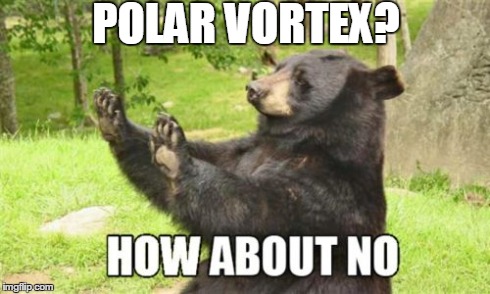 How About No Bear | POLAR VORTEX? | image tagged in memes,how about no bear | made w/ Imgflip meme maker