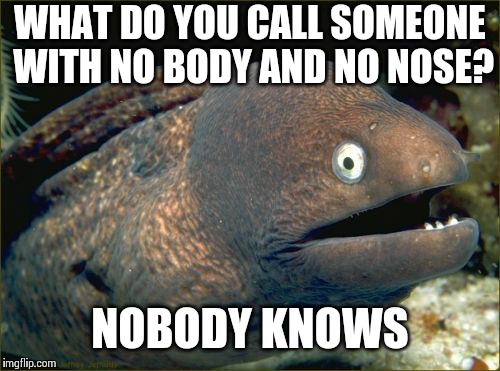 Bad Joke Eel Meme | WHAT DO YOU CALL SOMEONE WITH NO BODY AND NO NOSE? NOBODY KNOWS | image tagged in memes,bad joke eel | made w/ Imgflip meme maker