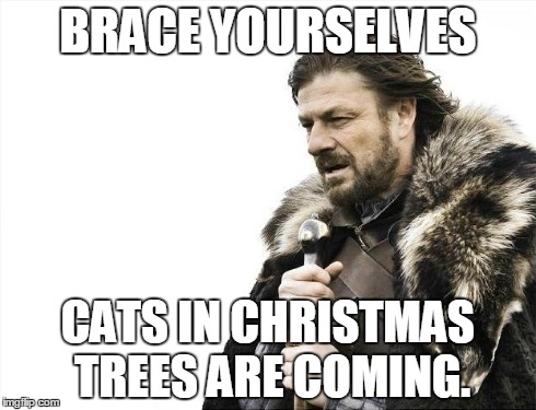 Brace Yourselves X is Coming | BRACE YOURSELVES CATS IN CHRISTMAS TREES ARE COMING. | image tagged in memes,brace yourselves x is coming,AdviceAnimals | made w/ Imgflip meme maker