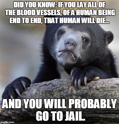 Confession Bear Meme | DID YOU KNOW: IF YOU LAY ALL OF THE BLOOD VESSELS, OF A HUMAN BEING END TO END, THAT HUMAN WILL DIE... AND YOU WILL PROBABLY GO TO JAIL. | image tagged in memes,confession bear | made w/ Imgflip meme maker