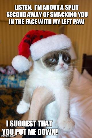 A Split Second Away | LISTEN,  I'M ABOUT A SPLIT SECOND AWAY OF SMACKING YOU IN THE FACE WITH MY LEFT PAW I SUGGEST THAT YOU PUT ME DOWN! | image tagged in memes,grumpy cat christmas,grumpy cat | made w/ Imgflip meme maker