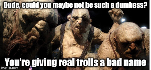 Annoyed Trolls | Dude, could you maybe not be such a dumbass? You're giving real trolls a bad name | image tagged in troll,trolls,annoyed trolls | made w/ Imgflip meme maker