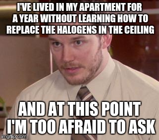 Afraid To Ask Andy | I'VE LIVED IN MY APARTMENT FOR A YEAR WITHOUT LEARNING HOW TO REPLACE THE HALOGENS IN THE CEILING AND AT THIS POINT I'M TOO AFRAID TO ASK | image tagged in memes,afraid to ask andy | made w/ Imgflip meme maker
