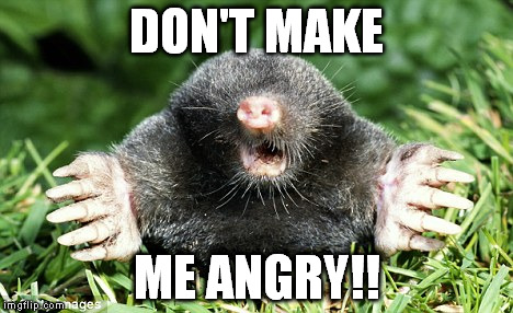 DON'T MAKE ME ANGRY!! | made w/ Imgflip meme maker