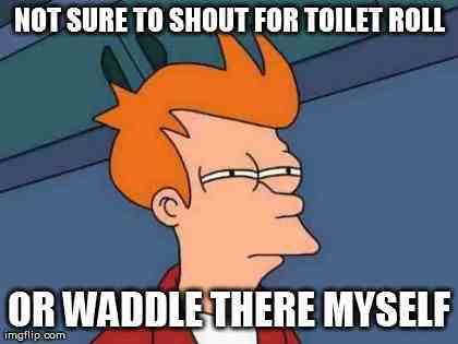 fry toilet roll | image tagged in memes,futurama fry,funny