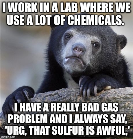 Confession Bear Meme | I WORK IN A LAB WHERE WE USE A LOT OF CHEMICALS. I HAVE A REALLY BAD GAS PROBLEM AND I ALWAYS SAY, 'URG, THAT SULFUR IS AWFUL,' | image tagged in memes,confession bear | made w/ Imgflip meme maker