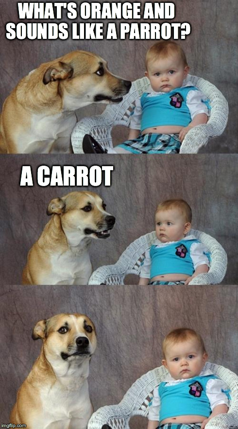 Dad Joke Dog Meme | WHAT'S ORANGE AND SOUNDS LIKE A PARROT? A CARROT | image tagged in memes,dad joke dog | made w/ Imgflip meme maker