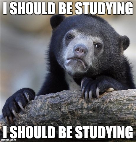Confession Bear | I SHOULD BE STUDYING I SHOULD BE STUDYING | image tagged in memes,confession bear | made w/ Imgflip meme maker