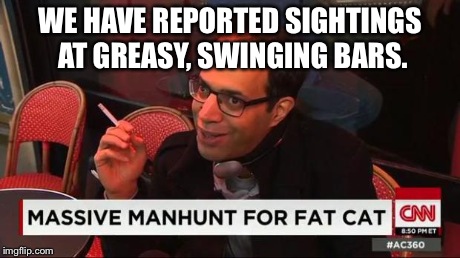 WE HAVE REPORTED SIGHTINGS AT GREASY, SWINGING BARS. | image tagged in tiger | made w/ Imgflip meme maker