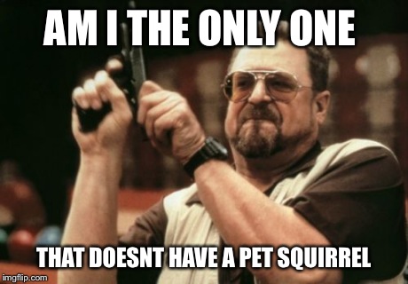 Am I The Only One Around Here | AM I THE ONLY ONE THAT DOESNT HAVE A PET SQUIRREL | image tagged in memes,am i the only one around here | made w/ Imgflip meme maker