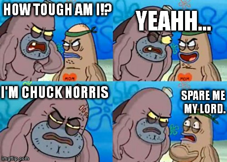 How Tough Are You | HOW TOUGH AM I!? I'M CHUCK NORRIS SPARE ME MY LORD. YEAHH... | image tagged in memes,how tough are you | made w/ Imgflip meme maker