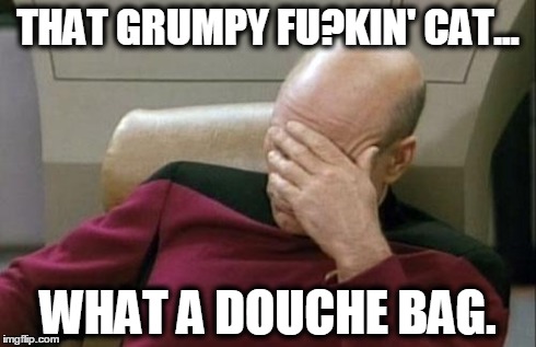 Captain Picard Facepalm Meme | THAT GRUMPY FU?KIN' CAT... WHAT A DOUCHE BAG. | image tagged in memes,captain picard facepalm | made w/ Imgflip meme maker