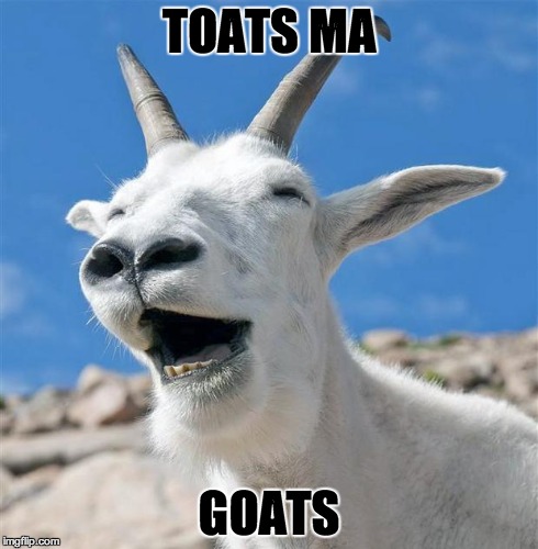 Laughing Goat | TOATS MA GOATS | image tagged in memes,laughing goat | made w/ Imgflip meme maker