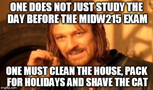 One Does Not Simply Meme | ONE DOES NOT JUST STUDY THE DAY BEFORE THE MIDW215 EXAM ONE MUST CLEAN THE HOUSE, PACK FOR HOLIDAYS AND SHAVE THE CAT | image tagged in memes,one does not simply | made w/ Imgflip meme maker