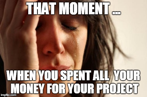 First World Problems Meme | THAT MOMENT ... WHEN YOU SPENT ALL  YOUR MONEY FOR YOUR PROJECT | image tagged in memes,first world problems | made w/ Imgflip meme maker