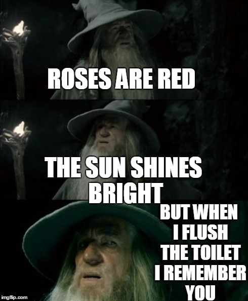 Confused Gandalf Meme | ROSES ARE RED BUT WHEN I FLUSH THE TOILET I REMEMBER YOU THE SUN SHINES BRIGHT | image tagged in memes,confused gandalf | made w/ Imgflip meme maker