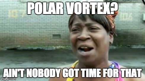 Snow is a beyotch | POLAR VORTEX? AIN'T NOBODY GOT TIME FOR THAT | image tagged in memes,aint nobody got time for that | made w/ Imgflip meme maker