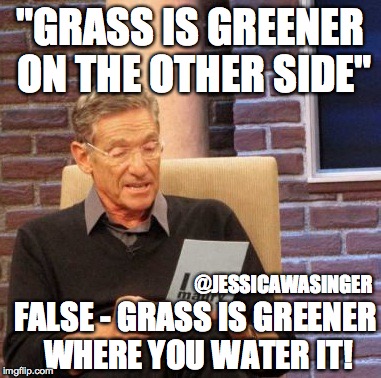Maury Lie Detector | "GRASS IS GREENER ON THE OTHER SIDE" FALSE - GRASS IS GREENER WHERE YOU WATER IT! @JESSICAWASINGER | image tagged in memes,maury lie detector | made w/ Imgflip meme maker