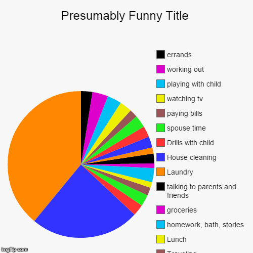 image tagged in funny,pie charts | made w/ Imgflip chart maker