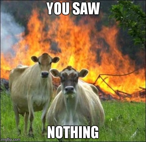 Evil Cows Meme | YOU SAW NOTHING | image tagged in memes,evil cows | made w/ Imgflip meme maker