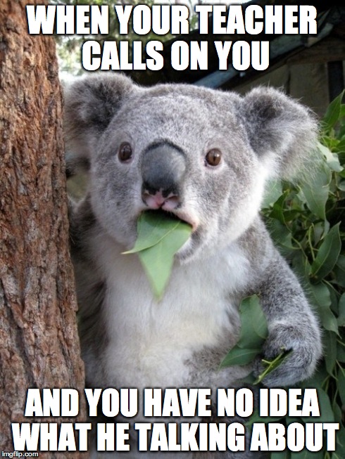 Surprised Koala | WHEN YOUR TEACHER CALLS ON YOU AND YOU HAVE NO IDEA WHAT HE TALKING ABOUT | image tagged in memes,surprised coala | made w/ Imgflip meme maker