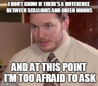 Afraid To Ask Andy Meme | I DON'T KNOW IF THERE'S A DIFFERENCE BETWEEN SCALLIONS AND GREEN ONIONS AND AT THIS POINT I'M TOO AFRAID TO ASK | image tagged in and i'm too afraid to ask andy | made w/ Imgflip meme maker