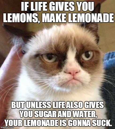 Grumpy Cat Reverse | IF LIFE GIVES YOU LEMONS, MAKE LEMONADE BUT UNLESS LIFE ALSO GIVES YOU SUGAR AND WATER, YOUR LEMONADE IS GONNA SUCK. | image tagged in memes,grumpy cat reverse,grumpy cat | made w/ Imgflip meme maker