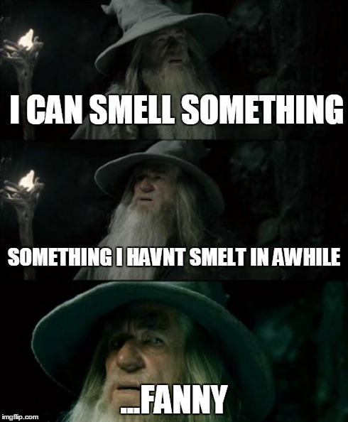 Fanny | I CAN SMELL SOMETHING ...FANNY SOMETHING I HAVNT SMELT IN AWHILE | image tagged in memes,confused gandalf | made w/ Imgflip meme maker