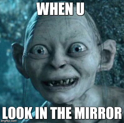 Gollum | WHEN U LOOK IN THE MIRROR | image tagged in memes,gollum | made w/ Imgflip meme maker