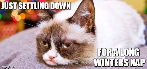 A Long Winters Nap | JUST SETTLING DOWN FOR A LONG WINTERS NAP | image tagged in memes,grumpy cat,grumpy cat christmas | made w/ Imgflip meme maker