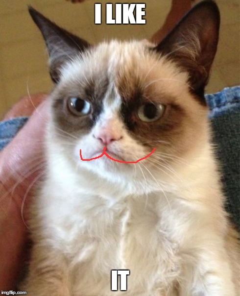 Grumpy Cat Meme | I LIKE IT | image tagged in memes,grumpy cat | made w/ Imgflip meme maker