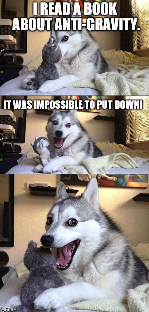 Bad Pun Dog | I READ A BOOK ABOUT ANTI-GRAVITY. IT WAS IMPOSSIBLE TO PUT DOWN! | image tagged in memes,bad pun dog | made w/ Imgflip meme maker