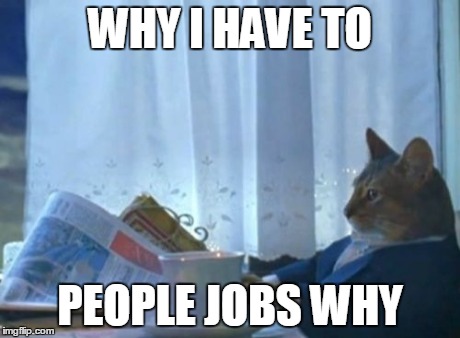 I Should Buy A Boat Cat | WHY I HAVE TO PEOPLE JOBS WHY | image tagged in memes,i should buy a boat cat | made w/ Imgflip meme maker