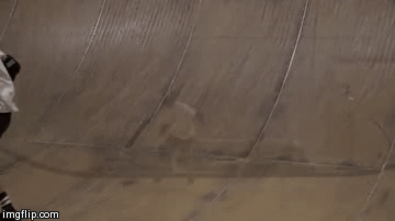 image tagged in gifs,woahdude | made w/ Imgflip video-to-gif maker