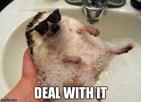 DEAL WITH IT | made w/ Imgflip meme maker