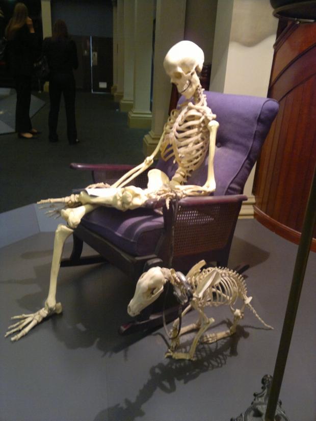 Waiting Skeleton Meme - Imgflip