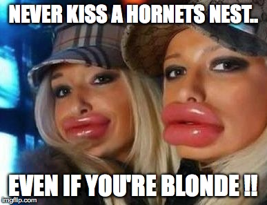 Duck Face Chicks | NEVER KISS A HORNETS NEST.. EVEN IF YOU'RE BLONDE !! | image tagged in memes,duck face chicks | made w/ Imgflip meme maker