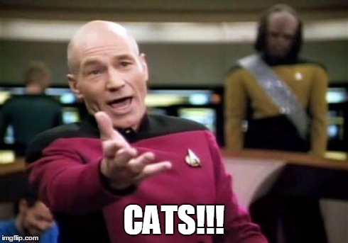 Picard Wtf Meme | CATS!!! | image tagged in memes,picard wtf | made w/ Imgflip meme maker
