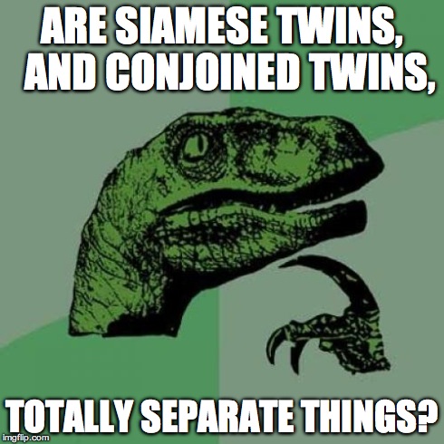 Philosoraptor | ARE SIAMESE TWINS,  AND CONJOINED TWINS, TOTALLY SEPARATE THINGS? | image tagged in memes,philosoraptor | made w/ Imgflip meme maker