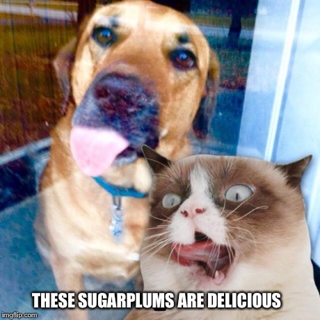 These Sugarplums Are Delicious | THESE SUGARPLUMS ARE DELICIOUS | image tagged in memes,grumpy cat,grumpy cat christmas,dog | made w/ Imgflip meme maker