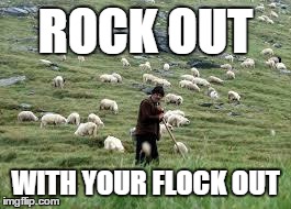 ROCK OUT WITH YOUR FLOCK OUT | image tagged in rock out with your flock out | made w/ Imgflip meme maker