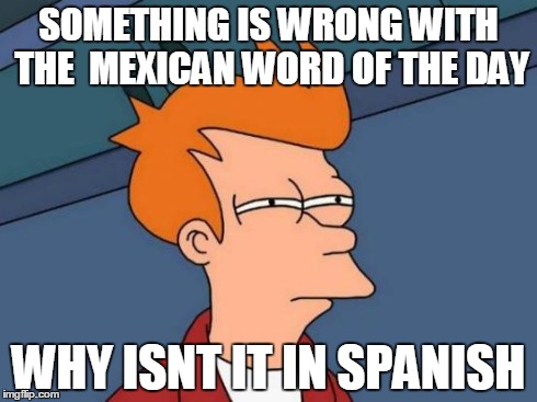 Futurama Fry | SOMETHING IS WRONG WITH THE  MEXICAN WORD OF THE DAY WHY ISNT IT IN SPANISH | image tagged in memes,futurama fry | made w/ Imgflip meme maker