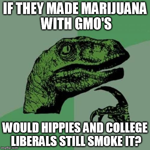 Philosoraptor | IF THEY MADE MARIJUANA WITH GMO'S WOULD HIPPIES AND COLLEGE LIBERALS STILL SMOKE IT? | image tagged in memes,philosoraptor,pot,marijuana,hippie,college liberal | made w/ Imgflip meme maker