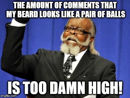 This guy needs a shave. | THE AMOUNT OF COMMENTS THAT MY BEARD LOOKS LIKE A PAIR OF BALLS IS TOO DAMN HIGH! | image tagged in memes,too damn high | made w/ Imgflip meme maker