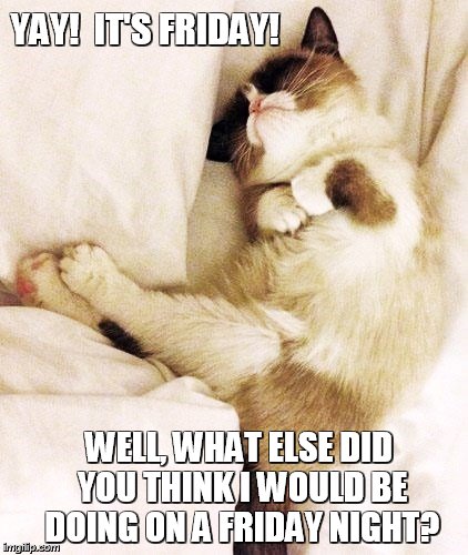 IT'S FRIDAY NIGHT | YAY!  IT'S FRIDAY! WELL, WHAT ELSE DID YOU THINK I WOULD BE DOING ON A FRIDAY NIGHT? | image tagged in memes,grumpy cat | made w/ Imgflip meme maker