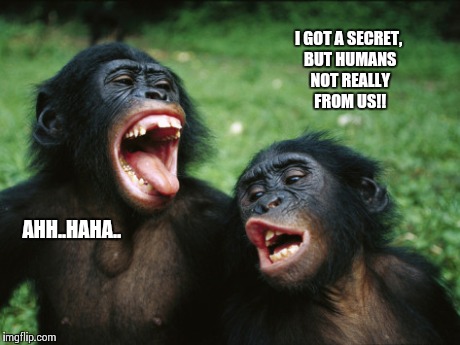 Bonobo Lyfe | I GOT A SECRET, BUT HUMANS NOT REALLY FROM US!! AHH..HAHA.. | image tagged in memes,bonobo lyfe,funny memes,funny picture,comedy | made w/ Imgflip meme maker