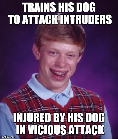 Bad Luck Brian Meme | TRAINS HIS DOG TO ATTACK INTRUDERS INJURED BY HIS DOG IN VICIOUS ATTACK | image tagged in memes,bad luck brian | made w/ Imgflip meme maker