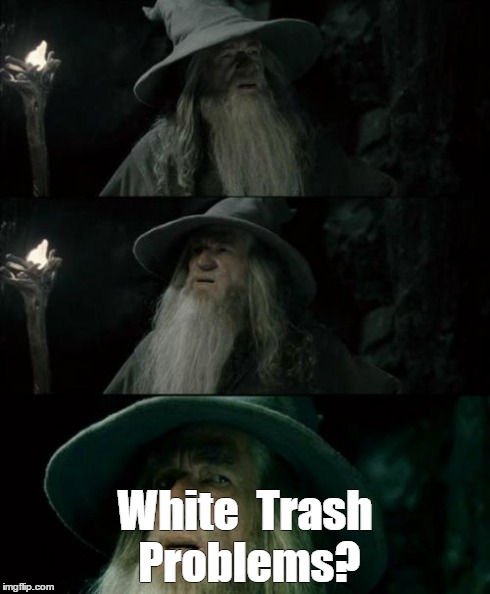 Confused Gandalf | White  Trash Problems? | image tagged in memes,confused gandalf,funny | made w/ Imgflip meme maker